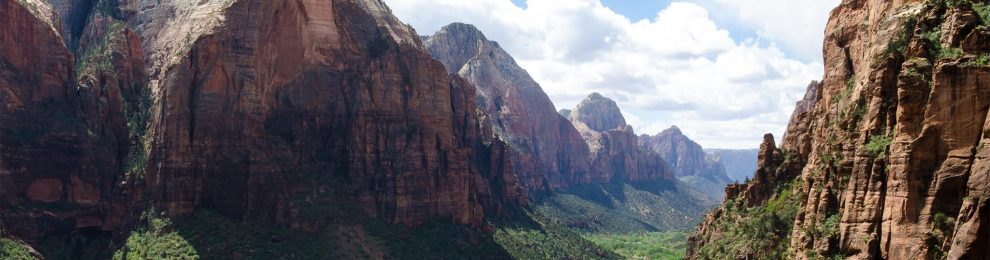 Upwards Inspiration In Zion Park Upwards Inspiration In Zion Park
